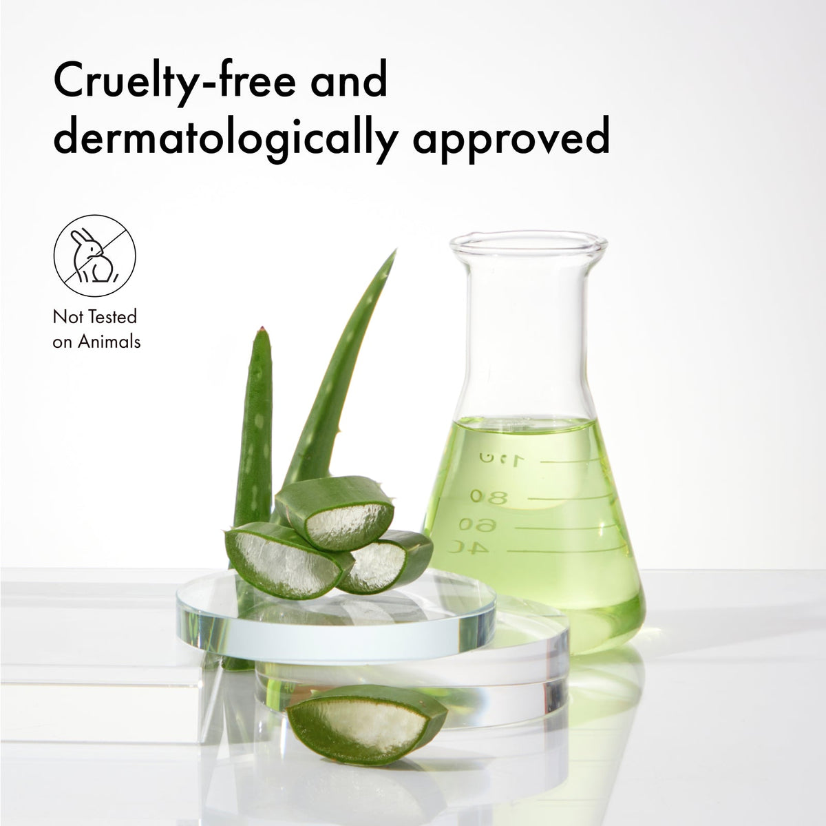 Smooth & Essential Bundle